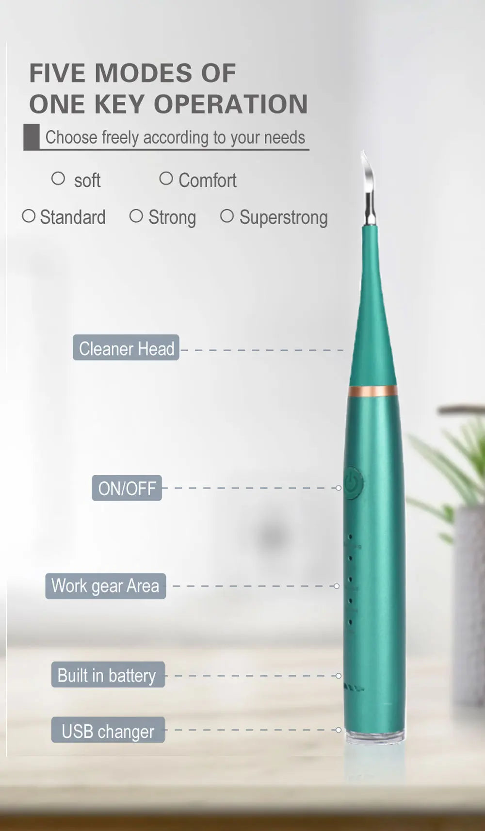 XB Sonic Electric Toothbrush & Teeth Scaler